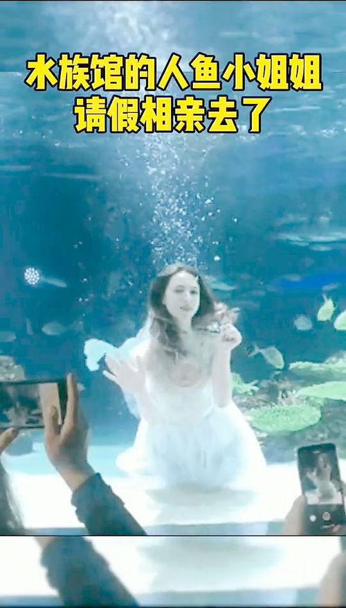 变成人鱼的搞笑视频大全,搞笑视频集锦，笑到肚子疼！