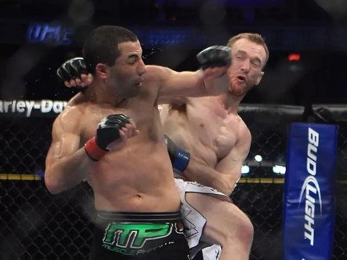 成人搏击方法视频大全集,成人搏击方法视频大全集解析