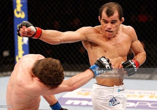 成人搏击方法视频大全集,成人搏击方法视频大全集解析