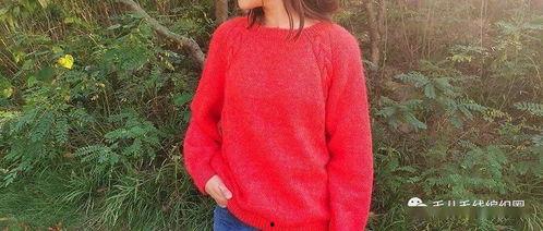 女款成人毛衣视频大全,女款成人毛衣视频大全精选