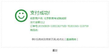 成人2017视频网,盘点年度热门内容与行业趋势