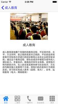 成人2017视频网,盘点年度热门内容与行业趋势