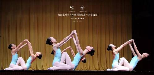 成人舞蹈大竹林视频教学,轻松入门，舞动人生