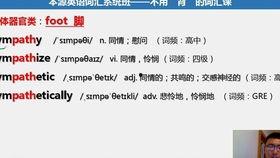 成人学英语搞笑段子视频,成人学英语搞笑段子集锦