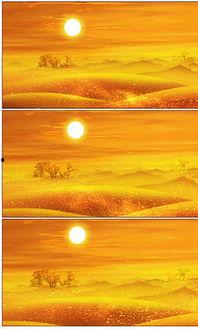 成人夕阳素材视频,岁月静好，时光如诗