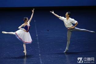 成人芭蕾舞比赛视频下载,成人芭蕾舞比赛精彩瞬间回顾