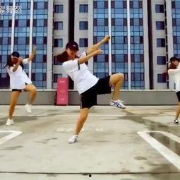 教师成人舞蹈群舞视频,成人舞蹈群舞视频赏析