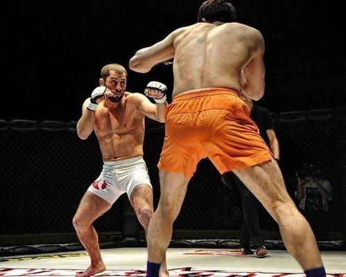 成人搏击训练对打视频,成人搏击技巧与实战演练深度解析