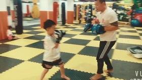 成人搏击训练对打视频,成人搏击技巧与实战演练深度解析