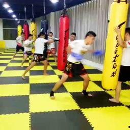 成人搏击训练对打视频,成人搏击技巧与实战演练深度解析