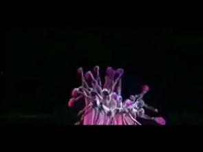 傣族成人舞简单易学视频,轻松学会的舞蹈魅力