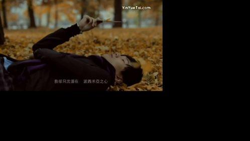 成人后迷茫场景视频大全