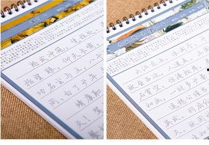 成人女练字硬笔书法视频,女性专属练字教程视频解析