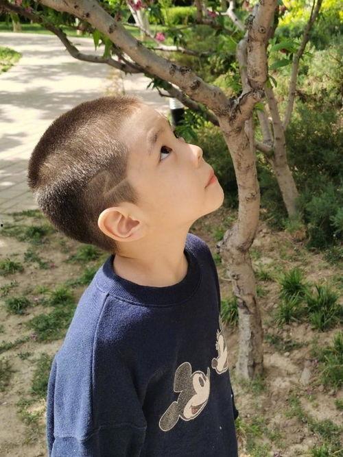 成人鬓角雕刻视频大全图片,视频大全图片解析与技巧揭秘