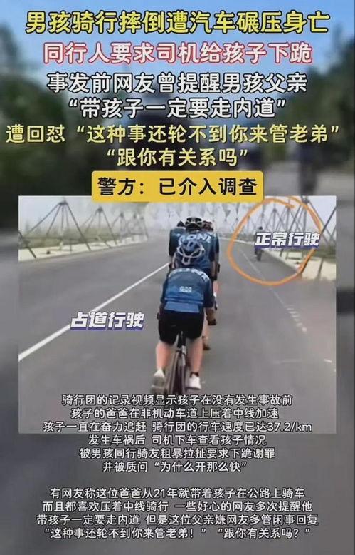 球球视频成人看,成人视角下的娱乐盛宴