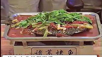 成人烤鱼视频大全集下载,成人烤鱼视频大全集下载攻略