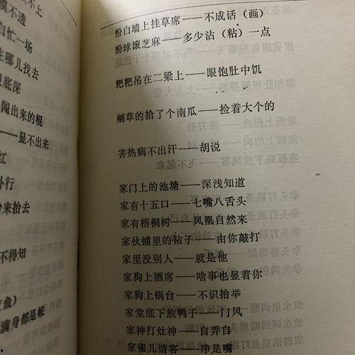 成人歇后语朗读视频,成人歇后语趣味朗读，领略语言魅力