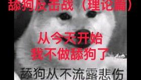 成人舔狗视频,情感陷阱与心理分析